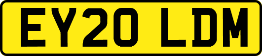 EY20LDM