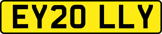 EY20LLY