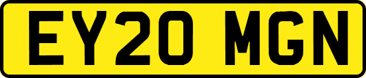 EY20MGN