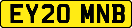 EY20MNB