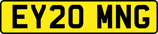 EY20MNG