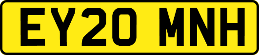 EY20MNH