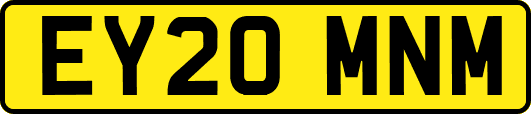 EY20MNM