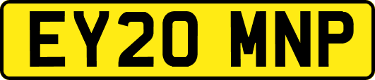 EY20MNP