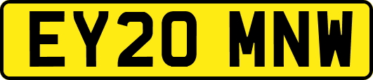 EY20MNW