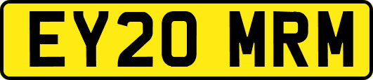 EY20MRM
