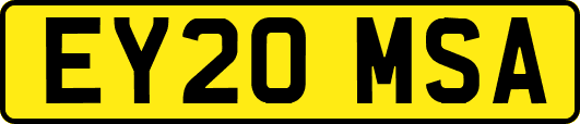 EY20MSA
