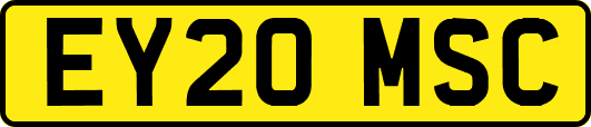 EY20MSC