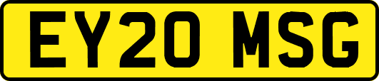 EY20MSG