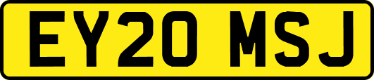 EY20MSJ