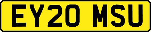 EY20MSU