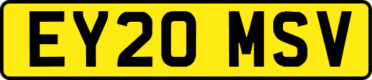 EY20MSV