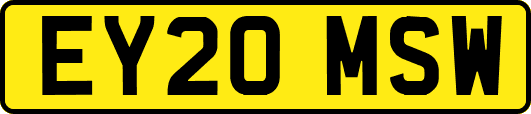 EY20MSW
