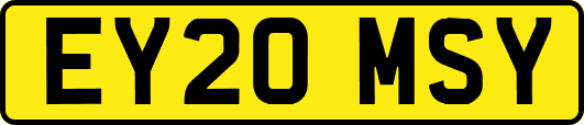 EY20MSY
