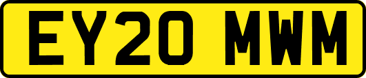 EY20MWM