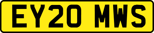 EY20MWS