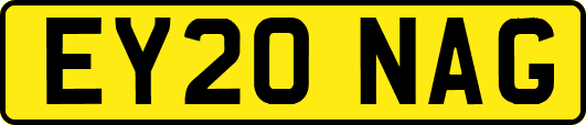 EY20NAG