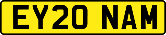 EY20NAM