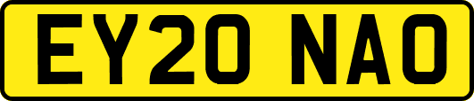 EY20NAO