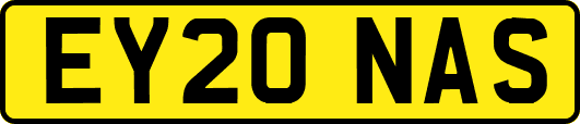 EY20NAS