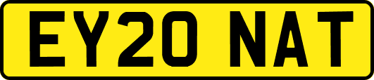 EY20NAT