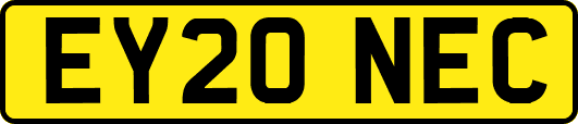 EY20NEC