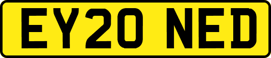 EY20NED