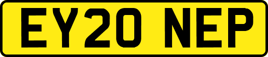 EY20NEP