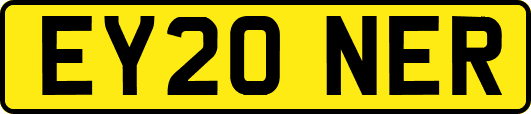 EY20NER