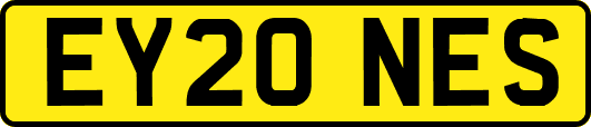 EY20NES