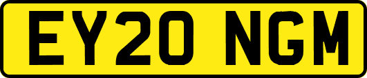 EY20NGM
