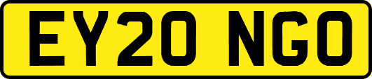 EY20NGO