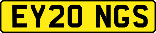 EY20NGS