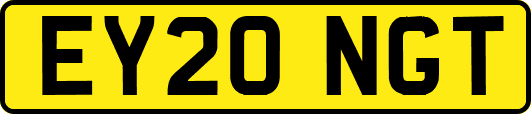 EY20NGT