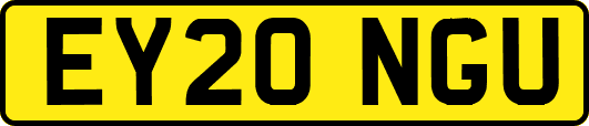 EY20NGU