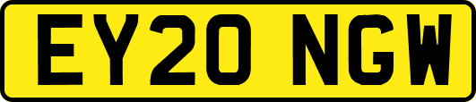 EY20NGW