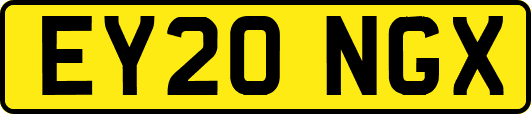 EY20NGX
