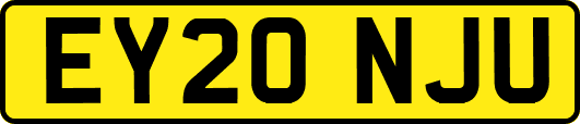 EY20NJU