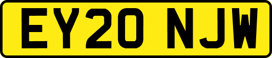 EY20NJW