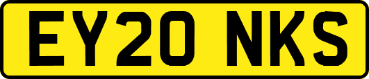 EY20NKS