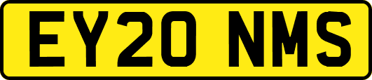 EY20NMS
