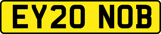 EY20NOB