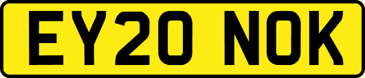 EY20NOK