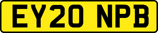 EY20NPB