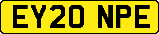 EY20NPE
