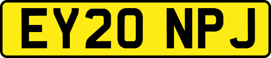 EY20NPJ