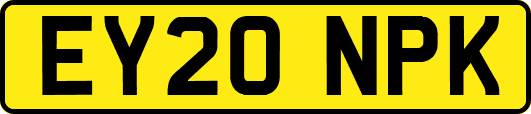 EY20NPK