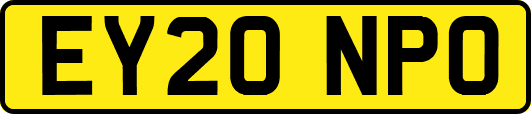 EY20NPO