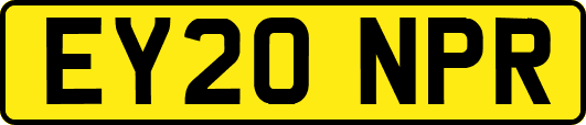 EY20NPR