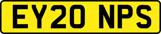 EY20NPS